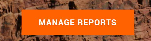 Manage reports