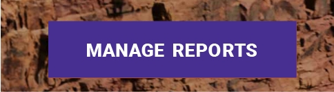 manage reports